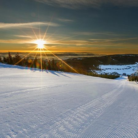 Chata Hradecanka Horní Malá Úpa Exteriér fotografie